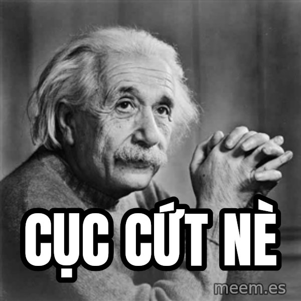 Albert Einstein meme: Cục cứt nè