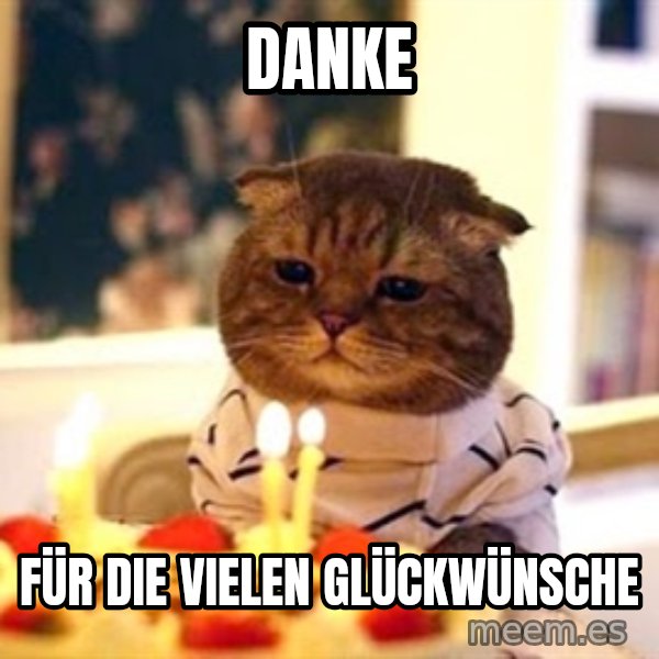 Birthday Cat meme: Danke / Für die vielen Glückwünsche