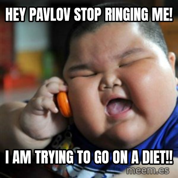 fat chinese kid meme: hEY PAVLOV STOP RINGING ME! / I AM TRYING TO GO ON A DIET!!
