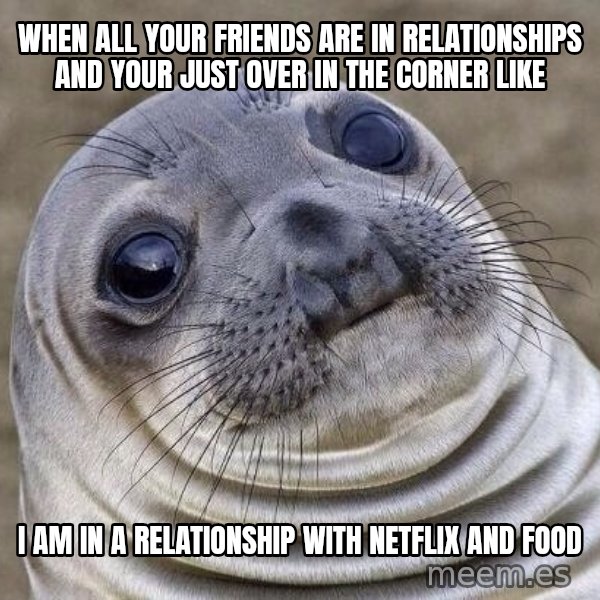 Awkward Seal meme: When all your friends are in relationships and your just over in the corner like / I am in a relationship with NetfLix and food