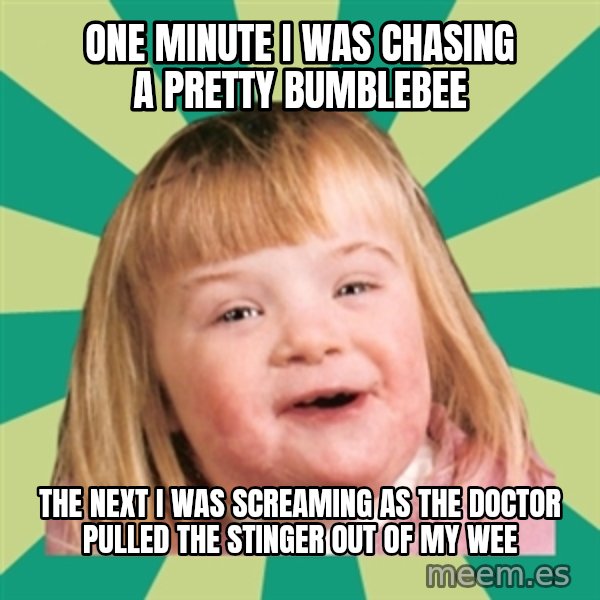 Retard girl meme: One minute i was chasing a pretty Bumblebee / The next i was screaming as the doctor pulled the stinger out oF my wee