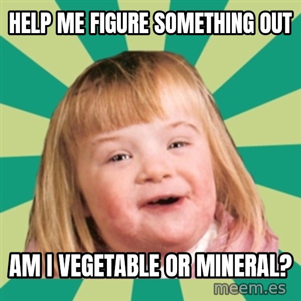 Retard girl meme: Help me figure something out / Am i vegetable or mineral?