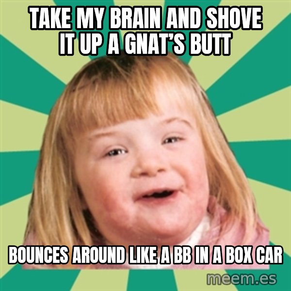 Retard girl meme: Take my brain and shove it uP a gnat’s butt / Bounces around like a bb in a box car