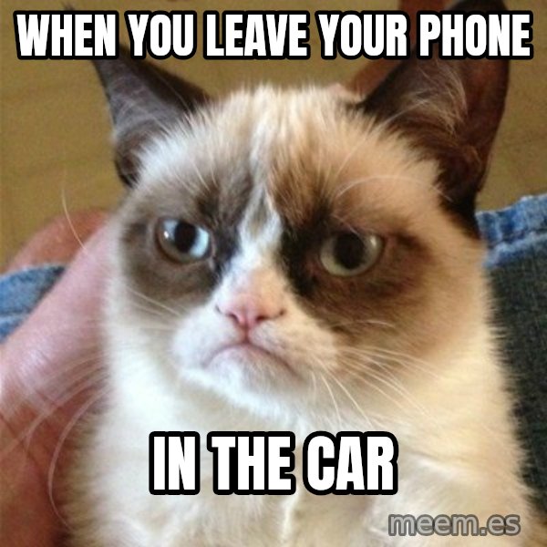 Grumpy Cat  meme: When you leave your phone / in the car