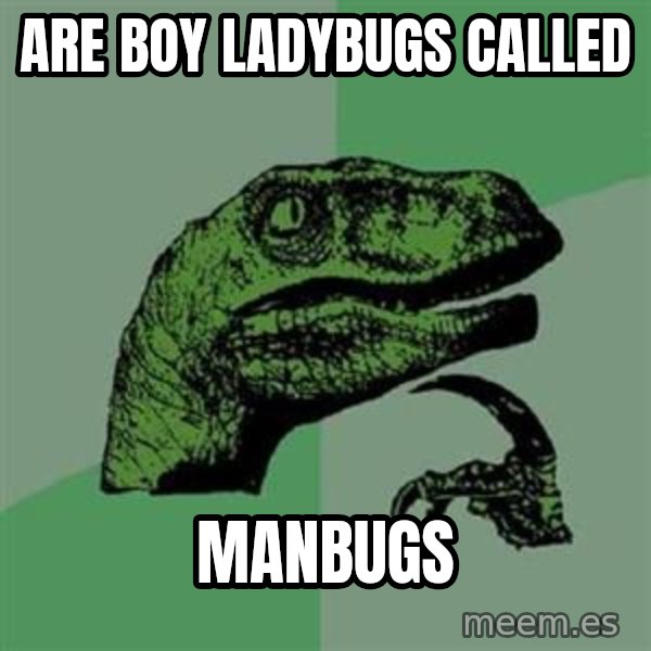 Philosoraptor meme: are boy ladybugs called / manbugs