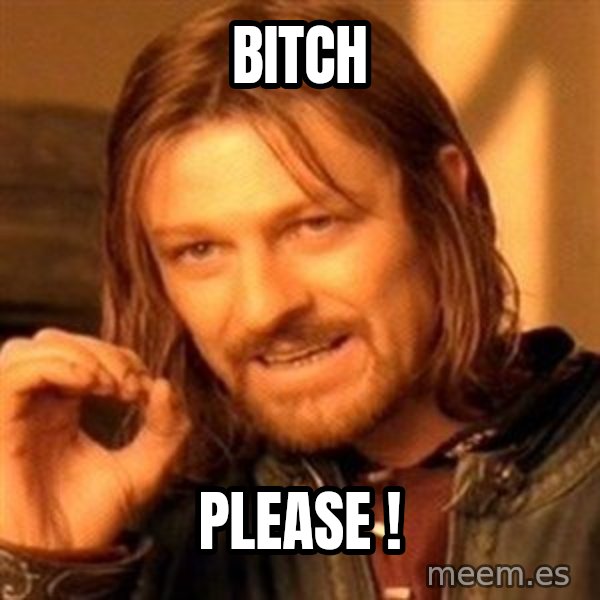 One Does Not Simply meme: BITCH / PLEASE !