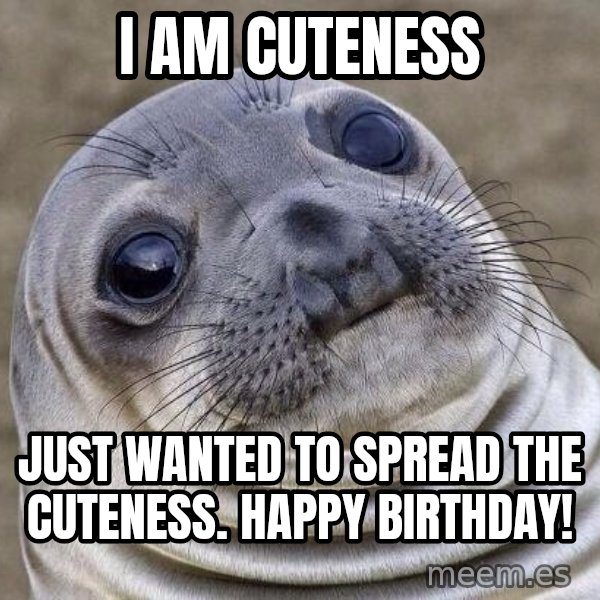 Awkward Seal meme: i am cuteness / just wanted to spread the cuteness. Happy birthday!