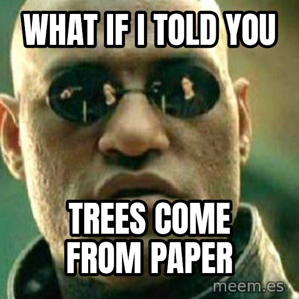 What If I Told You meme: wHAT IF I TOLD YOU / tREES COME FROM PAPER