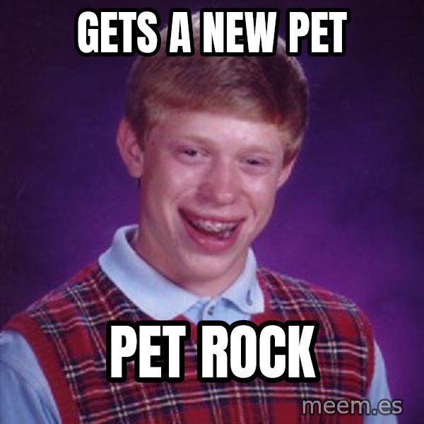 Bad Luck Brian meme: Gets a new pet / Pet rock