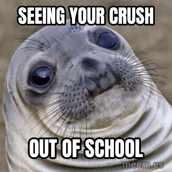 Awkward Seal meme: seeing your crush / out of school