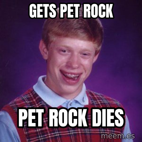 Bad Luck Brian meme: Gets pet rock / pet rock dies