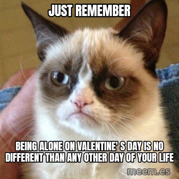 Grumpy Cat  meme: Just remember / Being alone on valentine' s day is no different than any other day of your life
