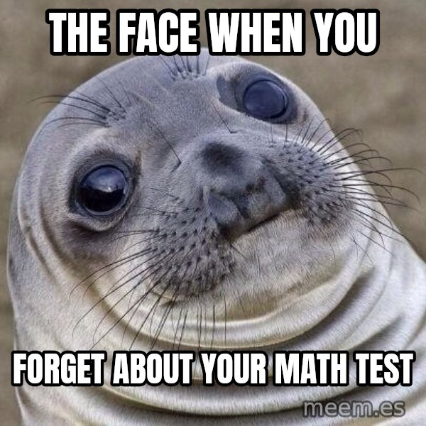 Awkward Seal meme: The face when you / Forget about your math test