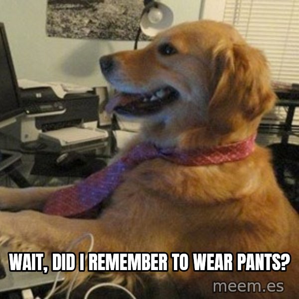 I have no idea what I'm doing - Dog with Tie meme: wait, did I remember to wear pants?