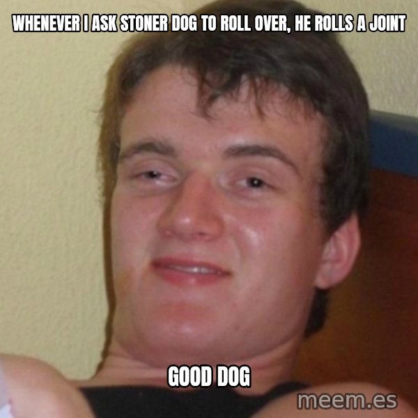 Stoner Stanley meme: Whenever I ask Stoner dog to roll over, he rolls a joint / good dog