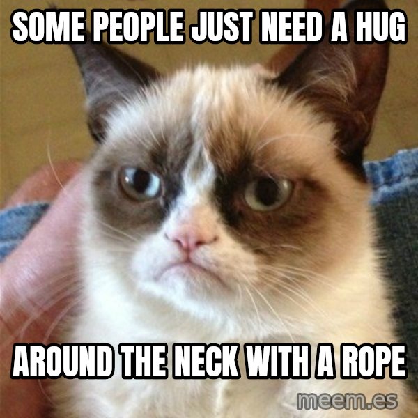 Grumpy Cat  meme: Some people Just need a hug / around the neck with a rope