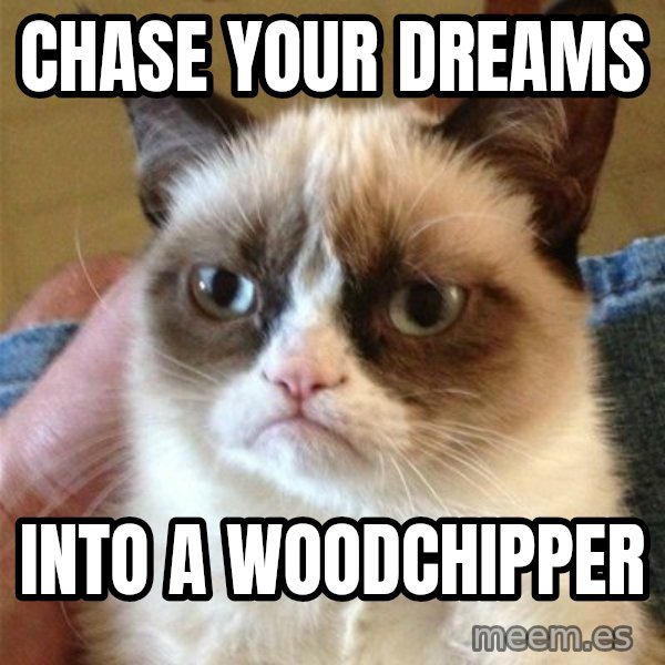Grumpy Cat  meme: CHASE YOUR DREAMS / INTO A WOODCHIPPER