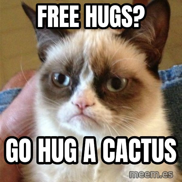 Grumpy Cat  meme: free hugs? / go hug a cactus