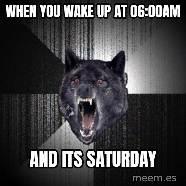 Insanity Wolf meme: when you wake up at 06:00am / and its saturday