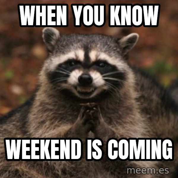 evil raccoon meme: When you know / weekend is coming