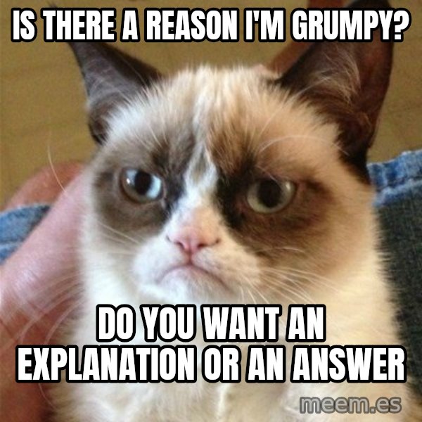Grumpy Cat  meme: is there a reason i'm grumpy? / do you want an explanation or an answer