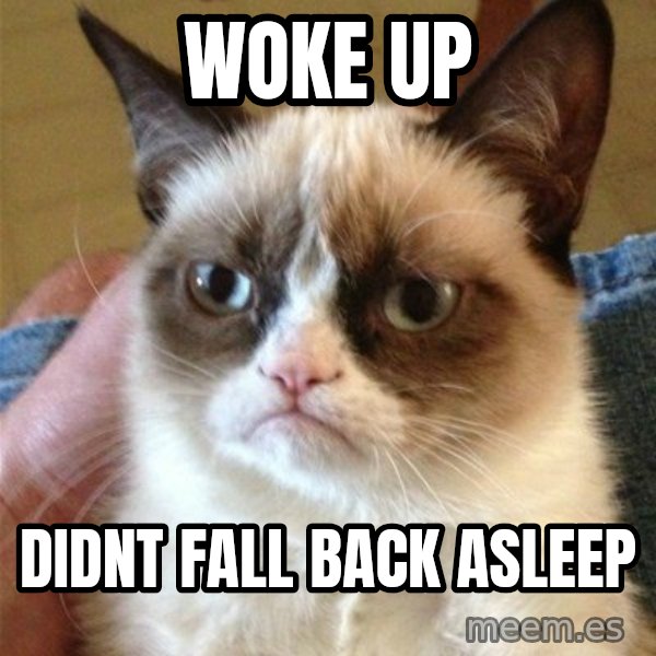 Grumpy Cat  meme: woke up / didnt fall back asleep