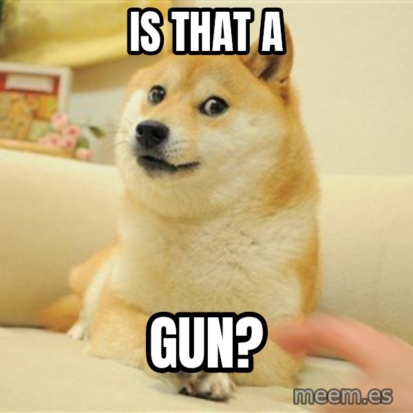 so doge meme: Is that a / GUN?