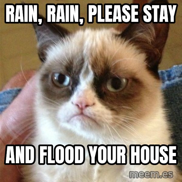 Grumpy Cat  meme: rain, rain, please stay / and flood your house