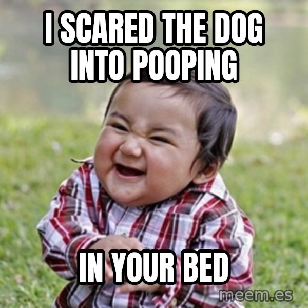 evil toddler kid2 meme: i scared the dog into pooping / In your bed