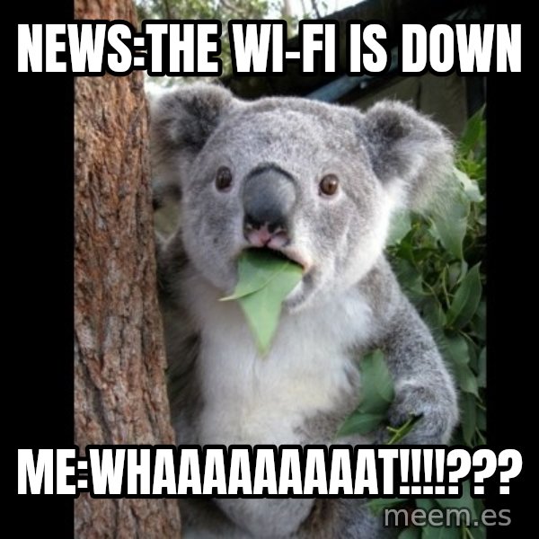 Koala can't believe it meme: news:The Wi-Fi is down / Me:whaaaaaaaaat!!!!???