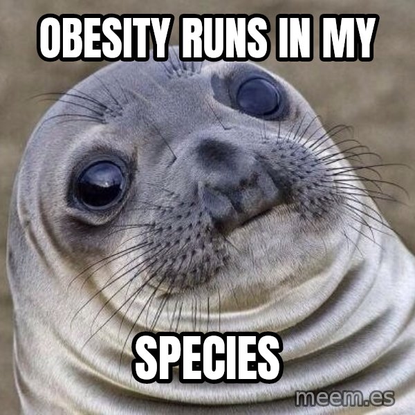 Awkward Seal meme: obesity runs in my / species