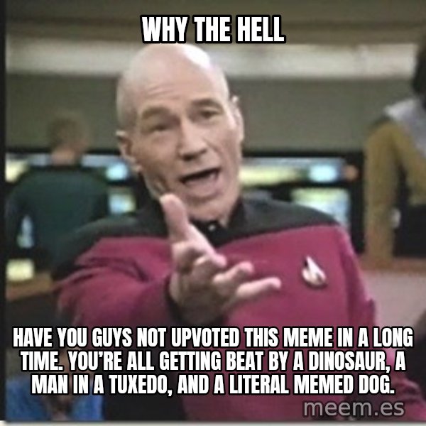 star trek wtf meme: Why the hell / Have you guys not upvoted this meme in a long time. You’re all getting beat by a dinosaur, a man in a tuxedo, and a literal memed dog.