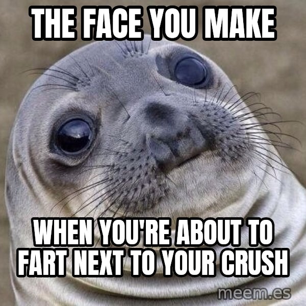 Awkward Seal meme: the face you make / when you're about to fart next to your crush