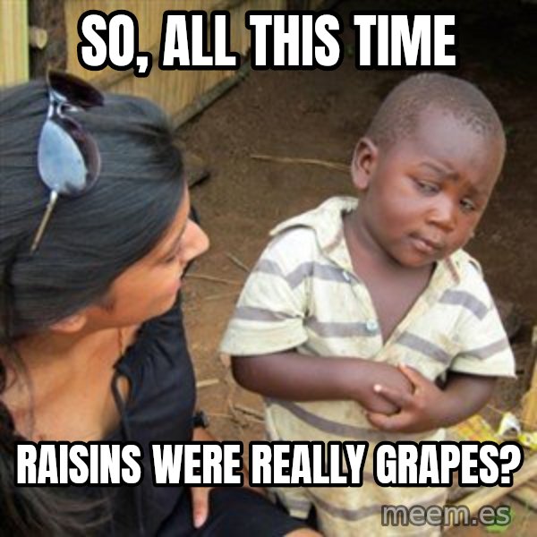 Skeptical 3rd World Kid meme: so, all this time / raisins were really grapes?