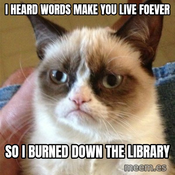 Grumpy Cat  meme: I heard words make you live foever / So I burned down the library