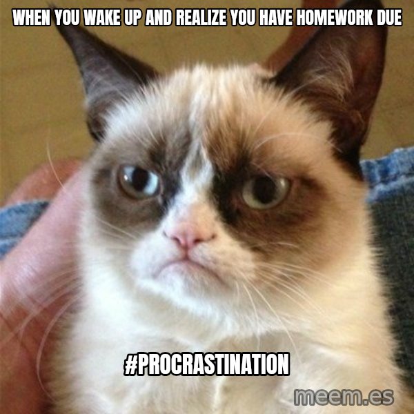 Grumpy Cat  meme: When you wake up and realize you have homework due / #procrastination