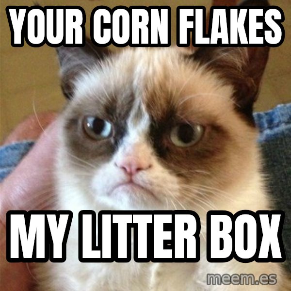 Grumpy Cat  meme: your corn flakes / my litter box
