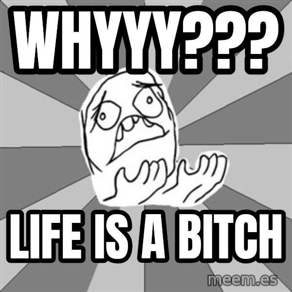 Whyyy??? meme: whyyy??? / life is a bitch