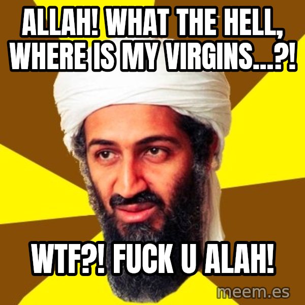 Osama meme: allah! what the hell, where is my virgins...?! / wtf?! fuck u alah!