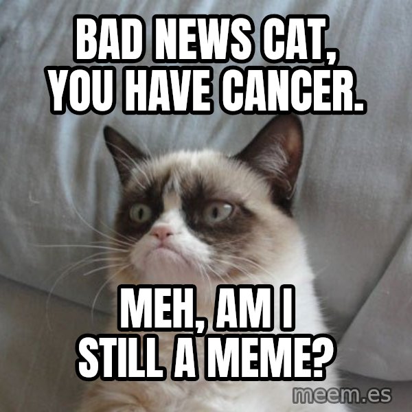 Grumpy cat good meme: Bad news cat, you have cancer. / Meh, am i still a meme?