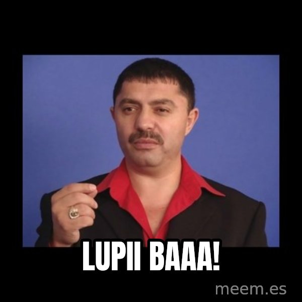 Manelistul Nicolae Guta meme: lupii baaa!