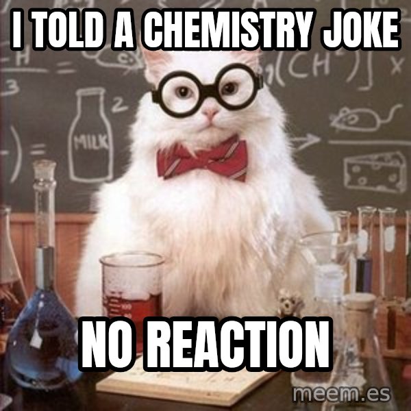 Chemistry Cat meme: I TOLD A CHEMISTRY JOKE / NO REACTION