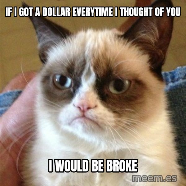 Grumpy Cat  meme: If i got a dollar everytime i thought of you / i would be broke