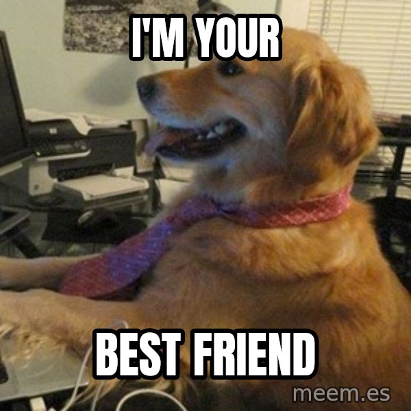 I have no idea what I'm doing - Dog with Tie meme: i'm your / best friend