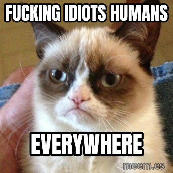 Grumpy Cat  meme: fucking idiots humans / everywhere