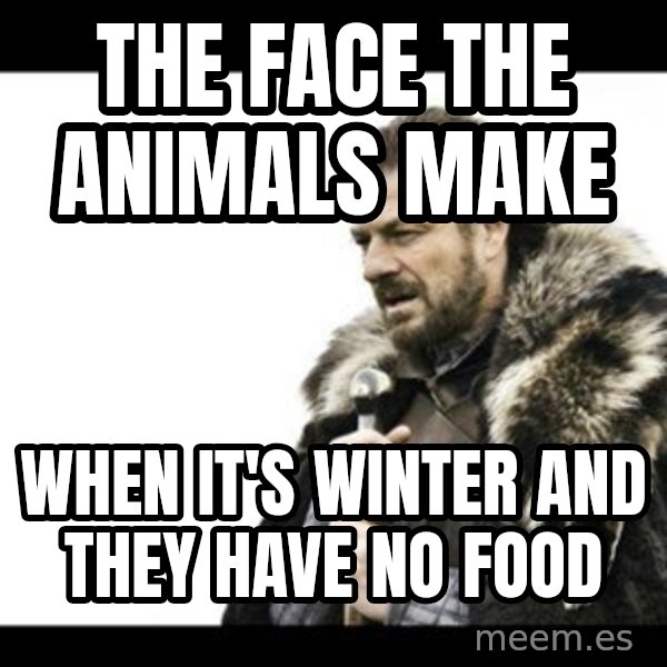 Winter is Coming meme: The face the animals make / when it's winter and they have no food