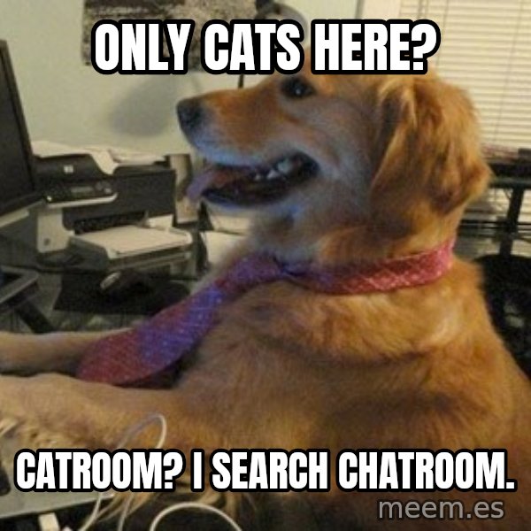 I have no idea what I'm doing - Dog with Tie meme: only cats here? / catroom? i search chatroom.