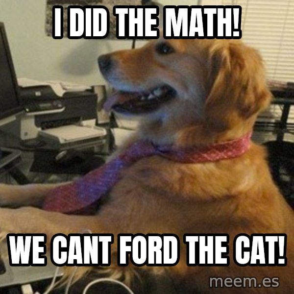 I have no idea what I'm doing - Dog with Tie meme: i did the math! / we cant ford the cat!
