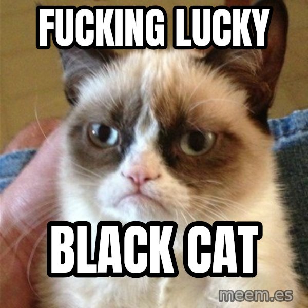 Grumpy Cat  meme: fucking lucky / black cat