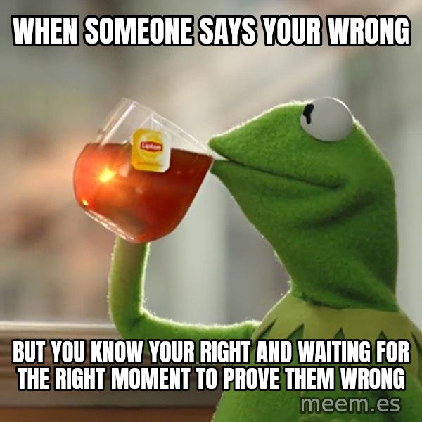 Kermit The Frog Drinking Tea meme: When someone says your wrong / But you know your right and waiting for the right moment to prove them wrong